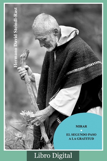 Mirar (Libro Digital)